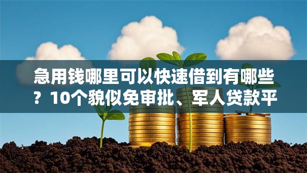 急用钱哪里可以快速借到有哪些？10个貌似免审批、军人贷款平台合集