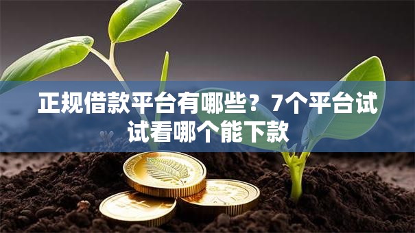 正规借款平台有哪些?7个平台试试看哪个能下款 正规借款平台有哪些?7个平台试试看哪个能下款