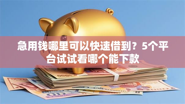 急用钱哪里可以快速借到？5个平台试试看哪个能下款
