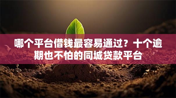 哪个平台借钱最容易通过？十个逾期也不怕的同城贷款平台