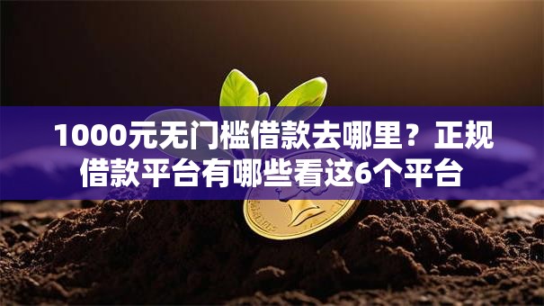 1000元无门槛借款去哪里？正规借款平台有哪些看这6个平台