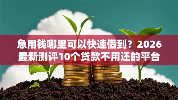 急用钱哪里可以快速借到？2026最新测评10个贷款不用还的平台