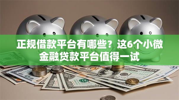 正规借款平台有哪些?这6个小微金融贷款平台值得一试 正规借款平台有哪些?这6个小微金融贷款平台值得一试