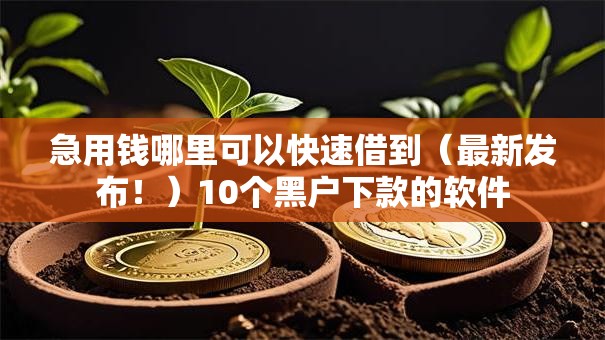 急用钱哪里可以快速借到(最新发布!)10个黑户下款的软件 急用钱哪里可以快速借到(最新发布!)10个黑户下款的软件
