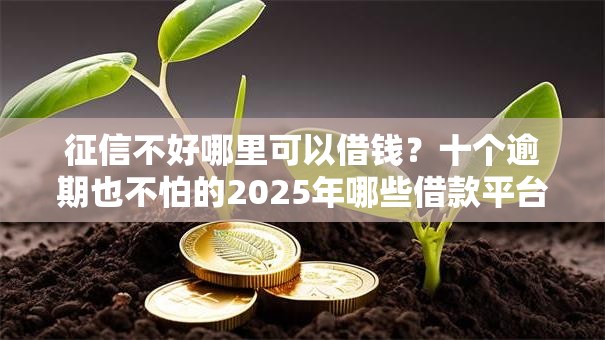 征信不好哪里可以借钱?十个逾期也不怕的2025年哪些借款平台不查征信大数据 征信不好哪里可以借钱?十个逾期也不怕的2025年哪些借款平台不查征信大数据