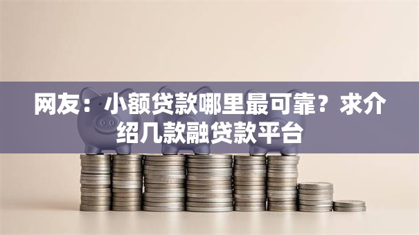 网友：小额贷款哪里最可靠？求介绍几款融贷款平台
