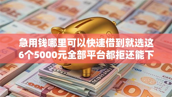 急用钱哪里可以快速借到就选这6个5000元全部平台都拒还能下款的平台
