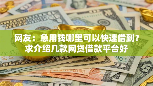 网友:急用钱哪里可以快速借到?求介绍几款网贷借款平台好 网友:急用钱哪里可以快速借到?求介绍几款网贷借款平台好