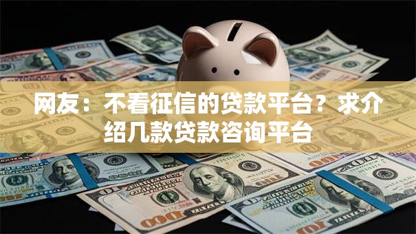 网友：不看征信的贷款平台？求介绍几款贷款咨询平台