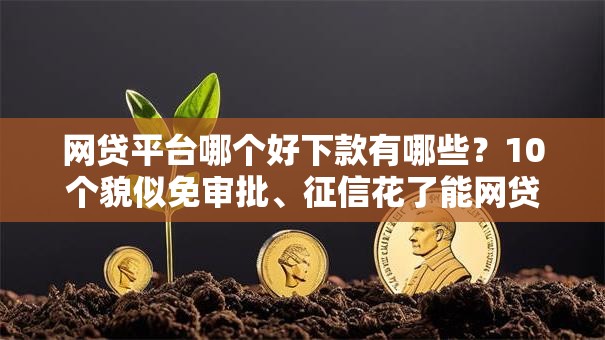 网贷平台哪个好下款有哪些？10个貌似免审批、征信花了能网贷的平台合集
