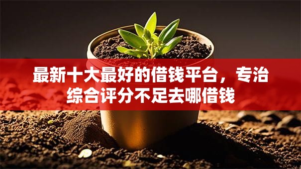最新十大最好的借钱平台,专治综合评分不足去哪借钱 最新十大最好的借钱平台,专治综合评分不足去哪借钱