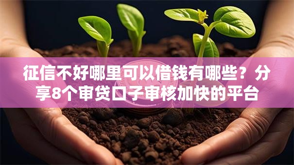 征信不好哪里可以借钱有哪些?分享8个审贷口子审核加快的平台 征信不好哪里可以借钱有哪些?分享8个审贷口子审核加快的平台