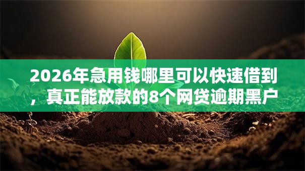 2026年急用钱哪里可以快速借到，真正能放款的8个网贷逾期黑户借钱的平台能借推荐