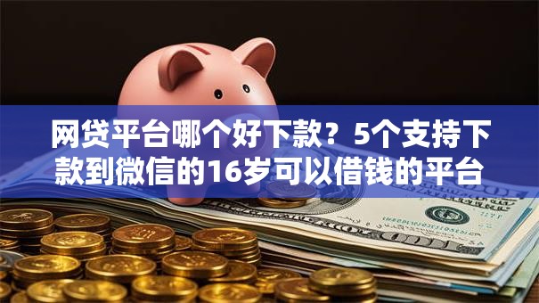 网贷平台哪个好下款?5个支持下款到微信的16岁可以借钱的平台 网贷平台哪个好下款?5个支持下款到微信的16岁可以借钱的平台
