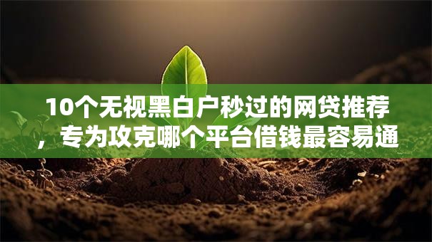 10个无视黑白户秒过的网贷推荐,专为攻克哪个平台借钱最容易通过难题 10个无视黑白户秒过的网贷推荐,专为攻克哪个平台借钱最容易通过难题