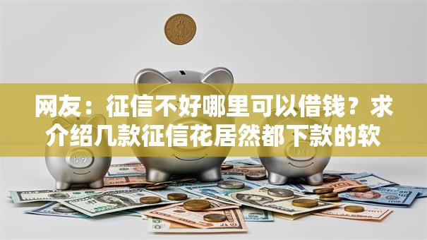 网友：征信不好哪里可以借钱？求介绍几款征信花居然都下款的软件