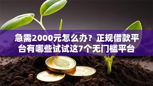 急需2000元怎么办？正规借款平台有哪些试试这7个无门槛平台