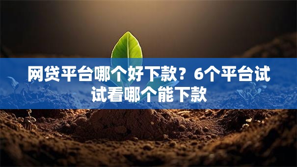 网贷平台哪个好下款?6个平台试试看哪个能下款 网贷平台哪个好下款?6个平台试试看哪个能下款