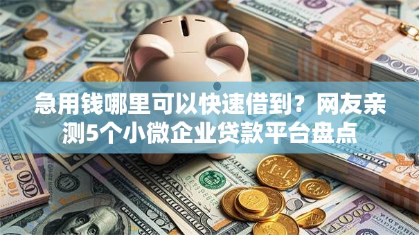 急用钱哪里可以快速借到？网友亲测5个小微企业贷款平台盘点
