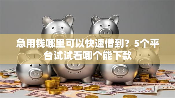 急用钱哪里可以快速借到?5个平台试试看哪个能下款 急用钱哪里可以快速借到?5个平台试试看哪个能下款