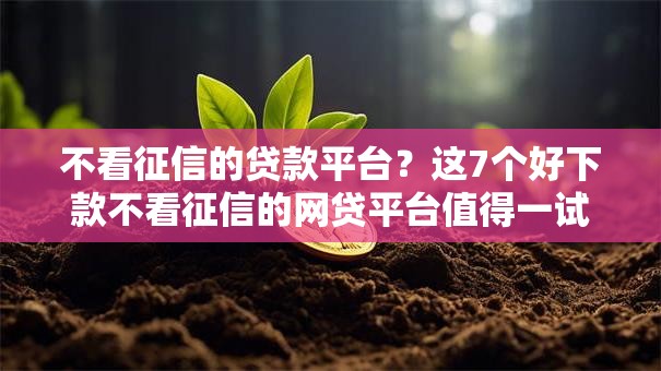 不看征信的贷款平台?这7个好下款不看征信的网贷平台值得一试 不看征信的贷款平台?这7个好下款不看征信的网贷平台值得一试