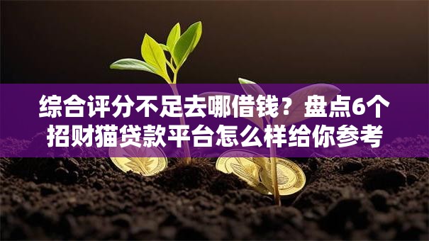 综合评分不足去哪借钱？盘点6个招财猫贷款平台怎么样给你参考