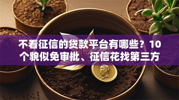 不看征信的贷款平台有哪些?10个貌似免审批、征信花找第三方担保贷款平台合集 不看征信的贷款平台有哪些?10个貌似免审批、征信花找第三方担保贷款平台合集
