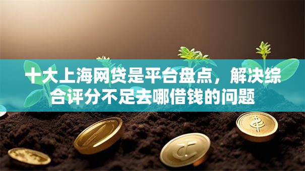 十大上海网贷是平台盘点,解决综合评分不足去哪借钱的问题 十大上海网贷是平台盘点,解决综合评分不足去哪借钱的问题