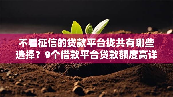 不看征信的贷款平台拢共有哪些选择？9个借款平台贷款额度高详解