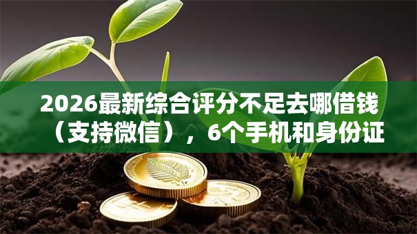 2026最新综合评分不足去哪借钱(支持微信),6个手机和身份证快速借钱口子无私分享 2026最新综合评分不足去哪借钱(支持微信),6个手机和身份证快速借钱口子无私分享