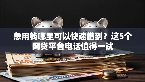 急用钱哪里可以快速借到?这5个网贷平台电话值得一试 急用钱哪里可以快速借到?这5个网贷平台电话值得一试