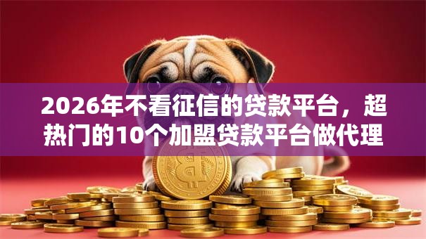 2026年不看征信的贷款平台，超热门的10个加盟贷款平台做代理推荐