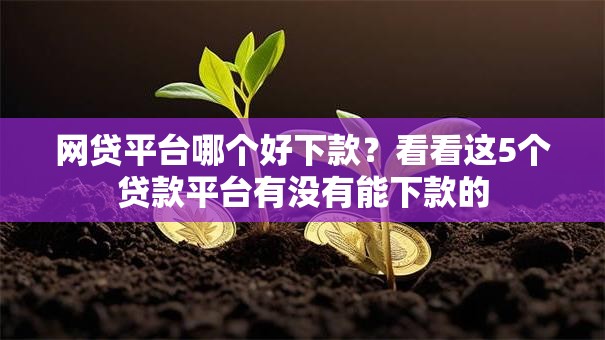 网贷平台哪个好下款?看看这5个贷款平台有没有能下款的 网贷平台哪个好下款?看看这5个贷款平台有没有能下款的
