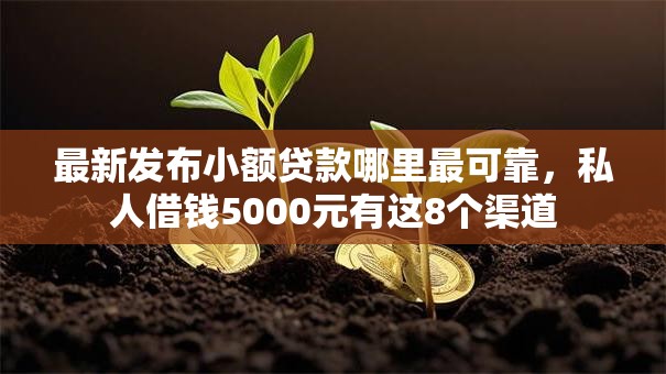 最新发布小额贷款哪里最可靠,私人借钱5000元有这8个渠道 最新发布小额贷款哪里最可靠,私人借钱5000元有这8个渠道