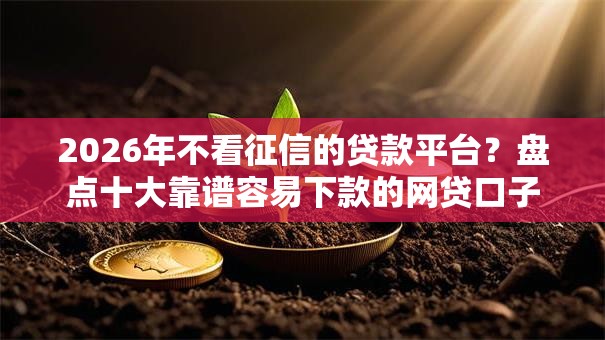 2026年不看征信的贷款平台?盘点十大靠谱容易下款的网贷口子 2026年不看征信的贷款平台?盘点十大靠谱容易下款的网贷口子