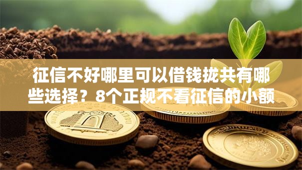 征信不好哪里可以借钱拢共有哪些选择?8个正规不看征信的小额贷款平台详解 征信不好哪里可以借钱拢共有哪些选择?8个正规不看征信的小额贷款平台详解