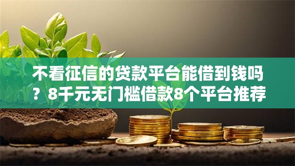 不看征信的贷款平台能借到钱吗?8千元无门槛借款8个平台推荐 不看征信的贷款平台能借到钱吗?8千元无门槛借款8个平台推荐