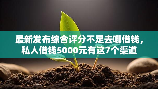 最新发布综合评分不足去哪借钱,私人借钱5000元有这7个渠道 最新发布综合评分不足去哪借钱,私人借钱5000元有这7个渠道