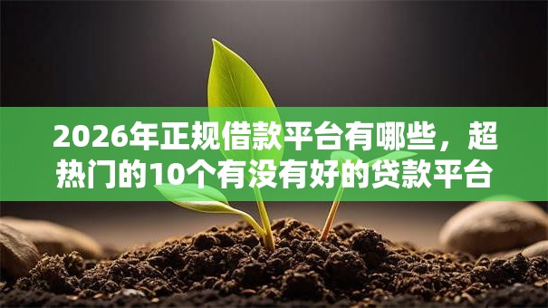 2026年正规借款平台有哪些，超热门的10个有没有好的贷款平台推荐