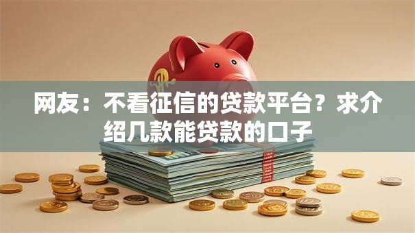网友：不看征信的贷款平台？求介绍几款能贷款的口子