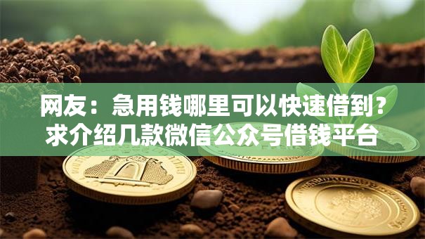 网友:急用钱哪里可以快速借到?求介绍几款微信公众号借钱平台 网友:急用钱哪里可以快速借到?求介绍几款微信公众号借钱平台