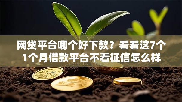 网贷平台哪个好下款?看看这7个1个月借款平台不看征信怎么样 网贷平台哪个好下款?看看这7个1个月借款平台不看征信怎么样