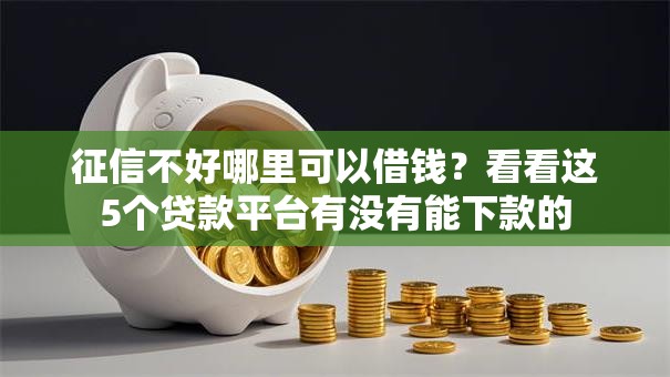 征信不好哪里可以借钱？看看这5个贷款平台有没有能下款的