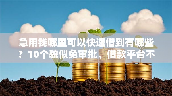 急用钱哪里可以快速借到有哪些?10个貌似免审批、借款平台不上征信的合集 急用钱哪里可以快速借到有哪些?10个貌似免审批、借款平台不上征信的合集