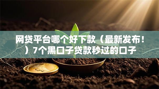 网贷平台哪个好下款（最新发布！）7个黑口子贷款秒过的口子