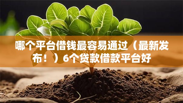 哪个平台借钱最容易通过(最新发布!)6个贷款借款平台好 哪个平台借钱最容易通过(最新发布!)6个贷款借款平台好