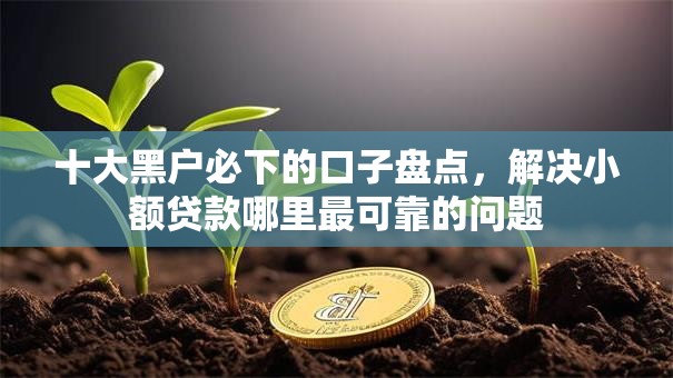 十大黑户必下的口子盘点,解决小额贷款哪里最可靠的问题 十大黑户必下的口子盘点,解决小额贷款哪里最可靠的问题