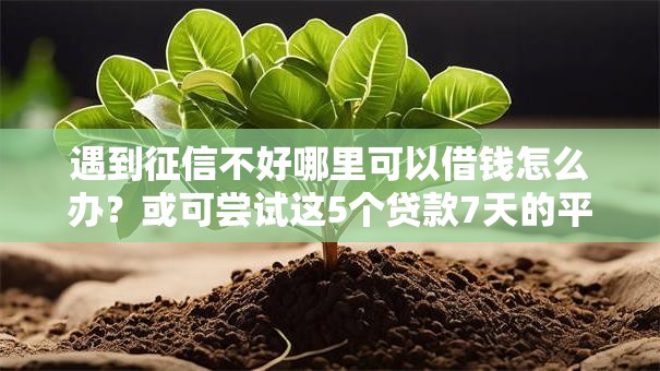 遇到征信不好哪里可以借钱怎么办?或可尝试这5个贷款7天的平台 遇到征信不好哪里可以借钱怎么办?或可尝试这5个贷款7天的平台