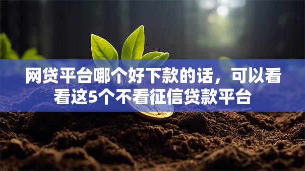 网贷平台哪个好下款的话,可以看看这5个不看征信贷款平台 网贷平台哪个好下款的话,可以看看这5个不看征信贷款平台
