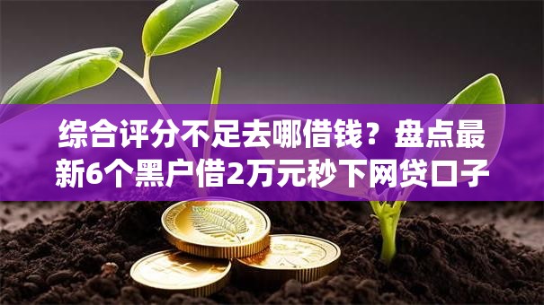 综合评分不足去哪借钱?盘点最新6个黑户借2万元秒下网贷口子app 综合评分不足去哪借钱?盘点最新6个黑户借2万元秒下网贷口子app